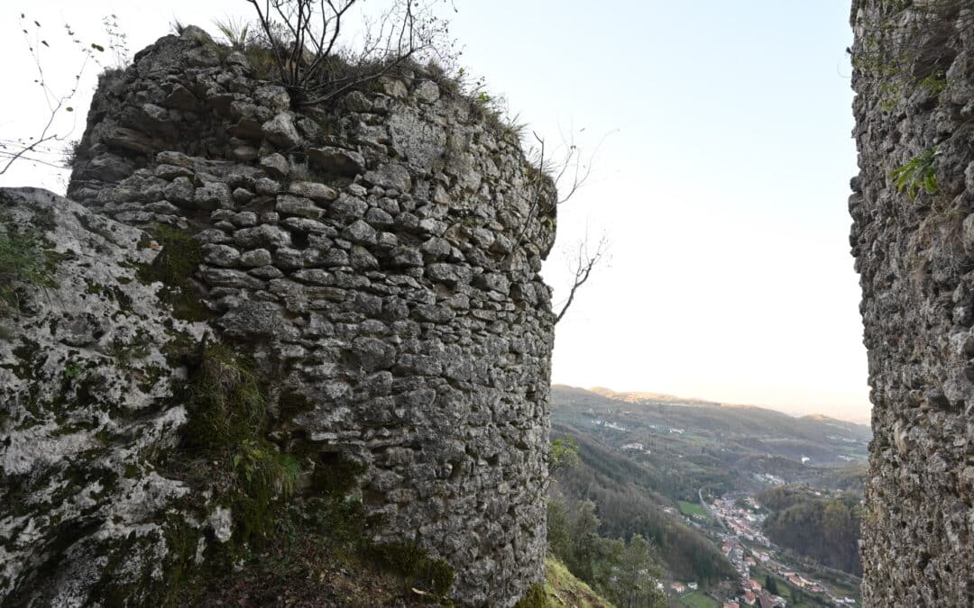 IL CASTELLO NEL PARCO RIEMERGE DAL BOSCO